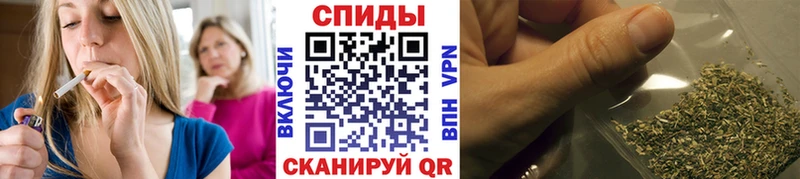 Бутират BDO  MEGA ТОР  Старица  купить  