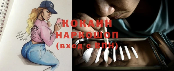 дурь Богородицк