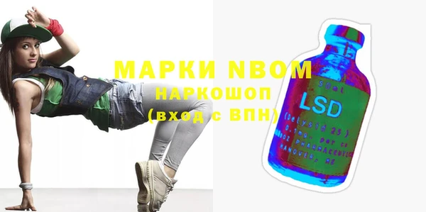 стаф Верея