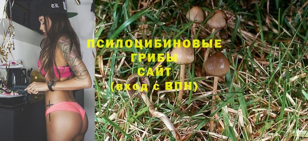 PSILOCYBIN Верхнеуральск