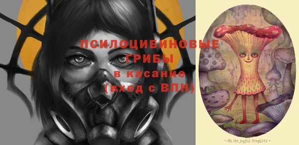 прущие грибы Богородск