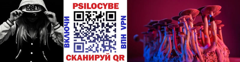 Галлюциногенные грибы прущие грибы наркошоп Старица