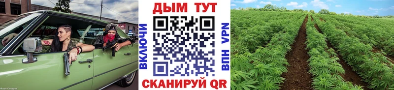 где купить наркоту  Старица  Конопля THC 21% 